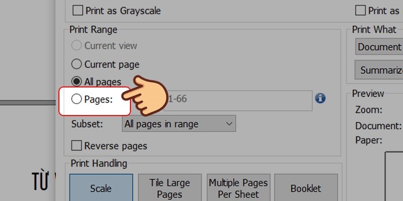 Tùy chọn Pages trong cài đặt in PDF