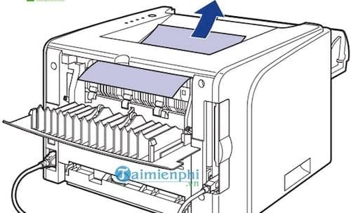 Kéo giấy kẹt máy in từ khay phía sau