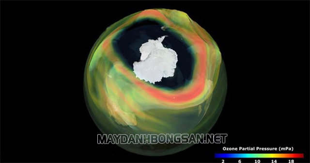 Lỗ thủng tầng Ozone