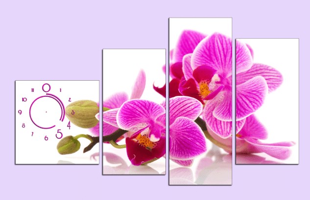 Tranh hoa lan hồ điệp màu trắng hoặc vàng, tượng trưng cho sự phú quý và cân bằng