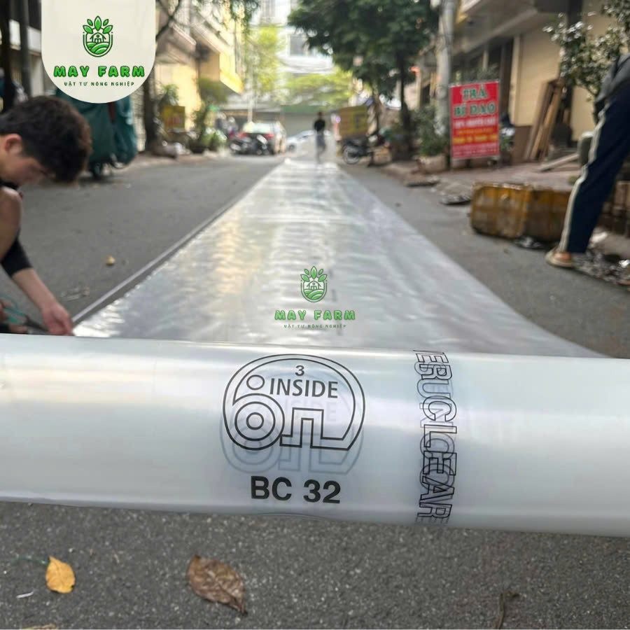 Nhà màng trồng rau hiện đại với cấu trúc chắc chắn