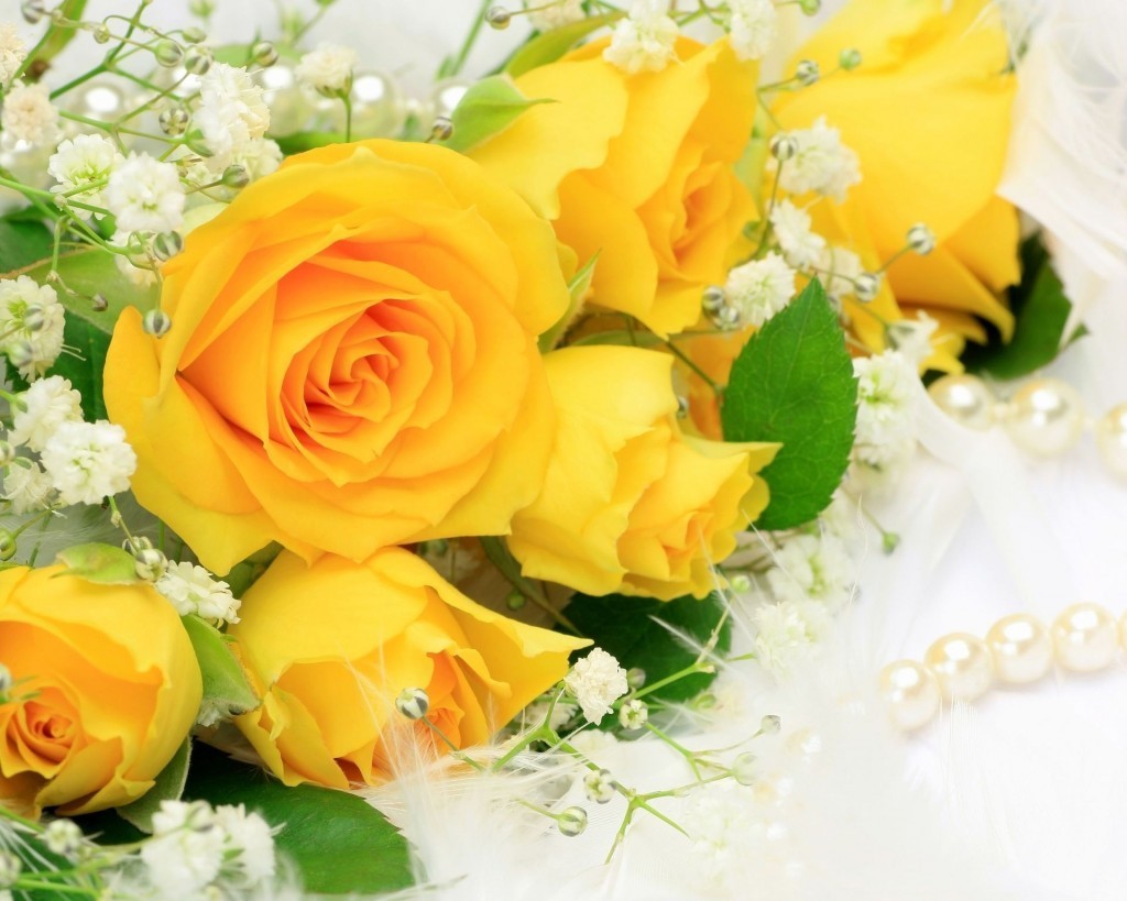 Vẻ rực rỡ của hoa hồng vàng mang ý nghĩa tình bạn