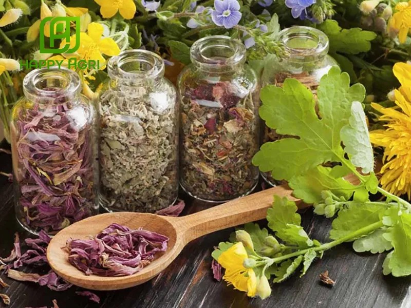 Hướng dẫn pha chế chế phẩm EM thảo dược để tăng cường đề kháng cho cây trồng