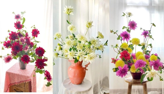 Bình hoa thược dược đỏ thắm trang trí nhà cửa dịp Tết