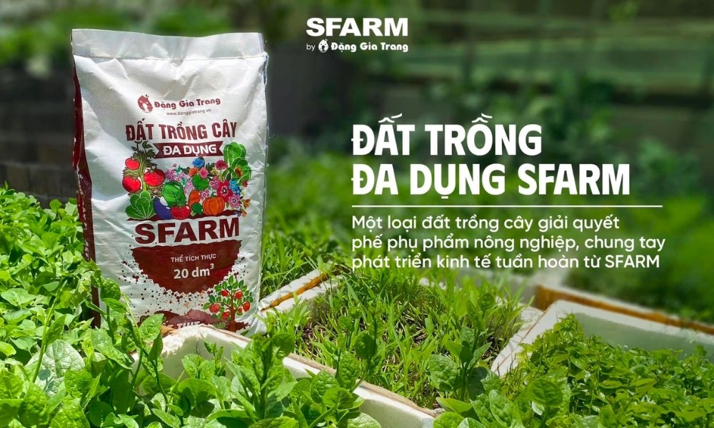 Đất tơi xốp, phù hợp chuẩn bị trồng cây bưởi