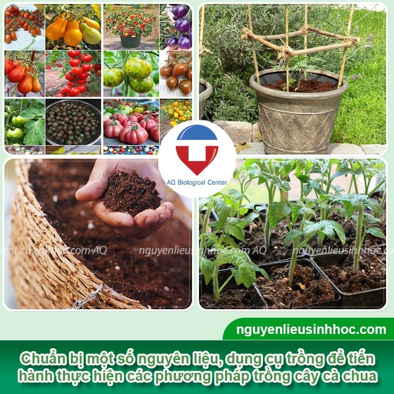 Các vật liệu cần chuẩn bị để bắt đầu hướng dẫn cách trồng cà trái cây