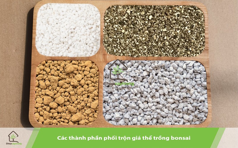 Các thành phần chính để thực hiện cách trộn đất trồng bonsai hiệu quả