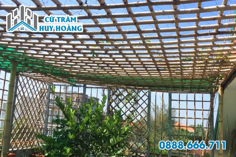 Người đang làm khung giàn tre trồng cây