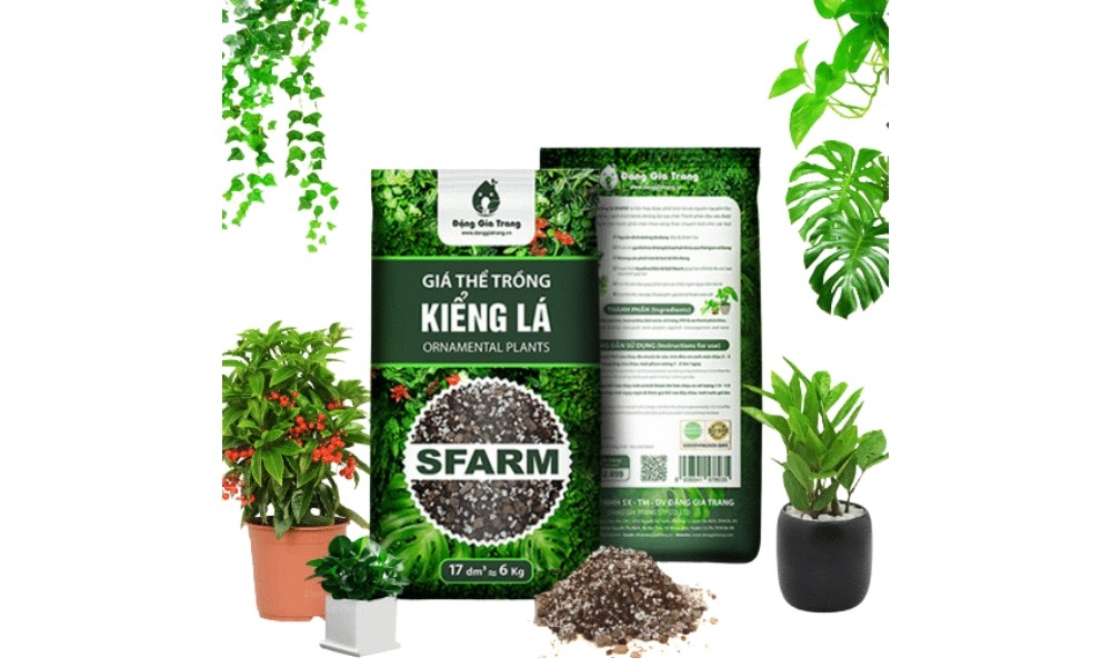 Giá thể phù hợp với cách trồng cây trầu bà trong đất