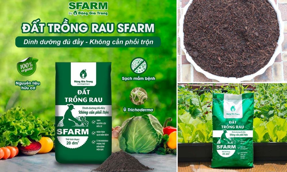 Đất trồng tơi xốp, giàu dinh dưỡng là nền tảng cho củ cà rốt phát triển