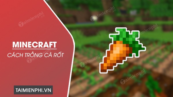 Củ cà rốt đã thu hoạch trong Minecraft