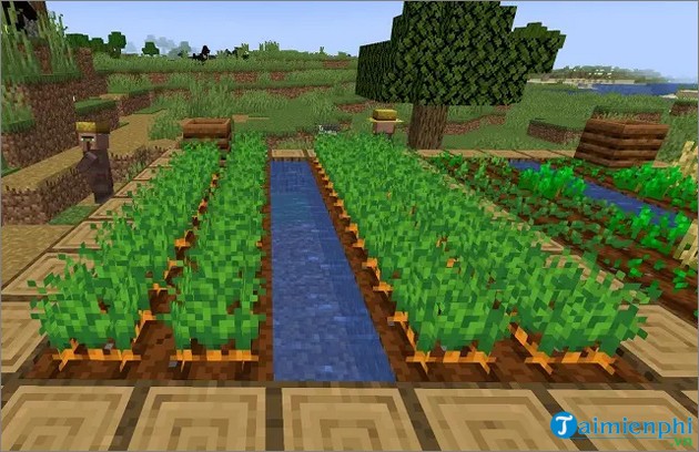 Đất đã xới ẩm gần nguồn nước trong Minecraft