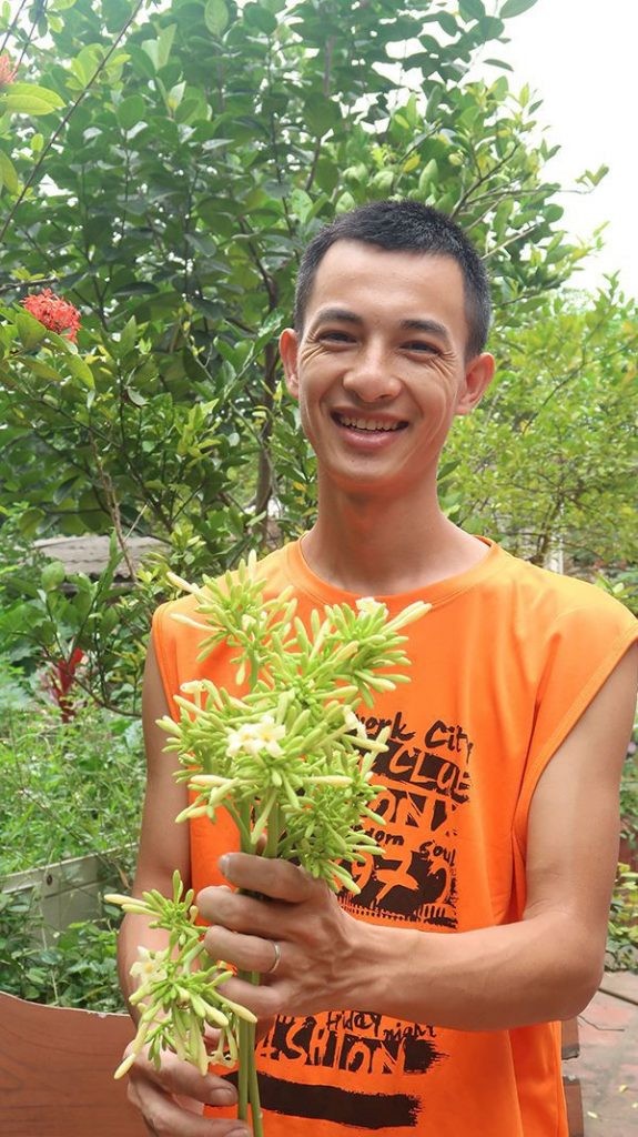 Hình ảnh minh họa kỹ thuật gieo trồng cây đu đủ đực lấy hoa