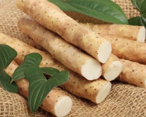 Đặc điểm thân và lá của cây củ mài