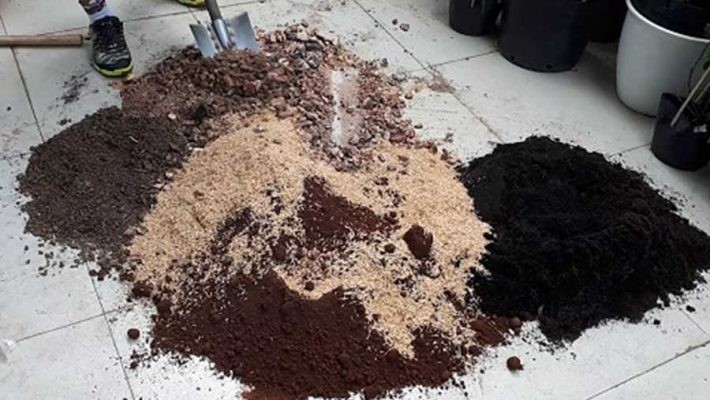 Trộn đất tơi xốp để trồng măng tây thùng xốp