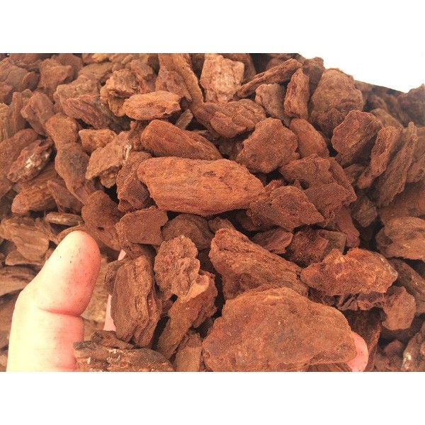 giá thể vỏ thông trồng lan thoát nước tốt