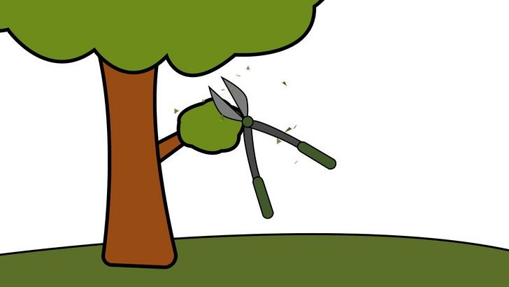Cắt tỉa cành cây đúng kỹ thuật, giúp cây xanh nhanh lớn và có tán đẹp