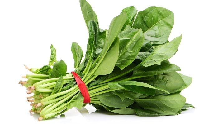 Rau cải bó xôi (rau chân vịt) tươi xanh