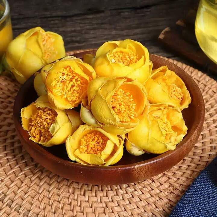 Cây trà hoa vàng đang ra hoa màu vàng rực rỡ, minh chứng cho vẻ đẹp và tiềm năng làm thuốc