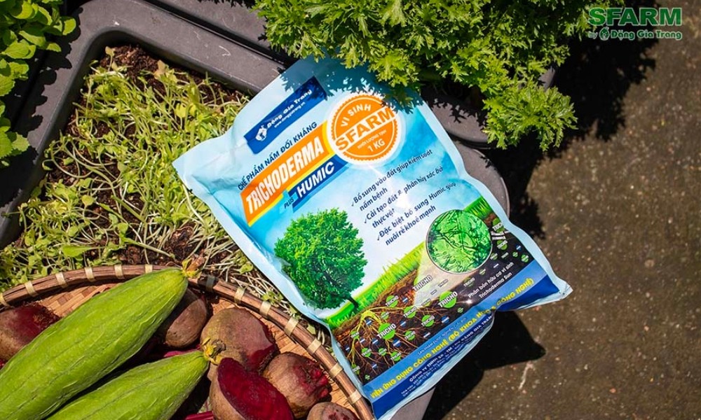 Nấm Trichoderma Plus Humic SFARM dùng cho đất trồng cải xanh
