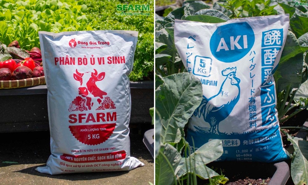 Các loại phân hữu cơ bón thúc cho cây cải xanh