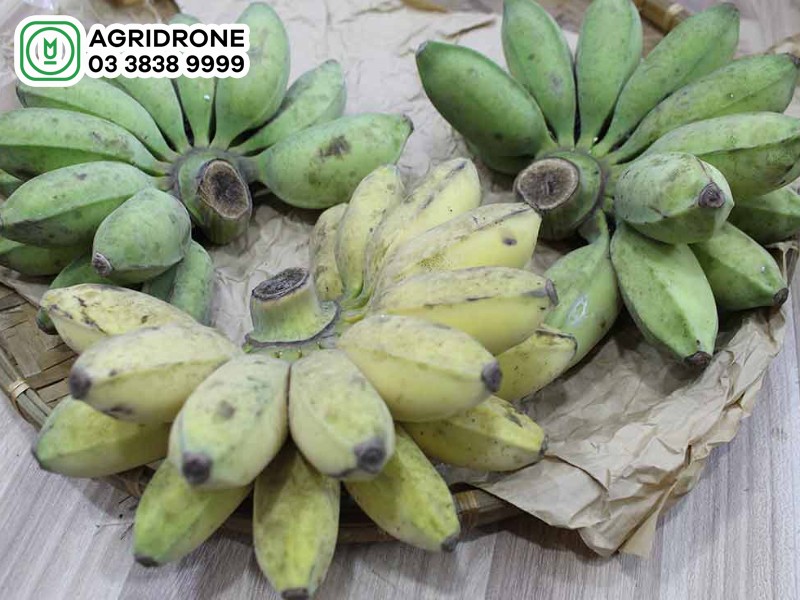 Chuối sáp luộc chín màu vàng sẫm, dẻo thơm