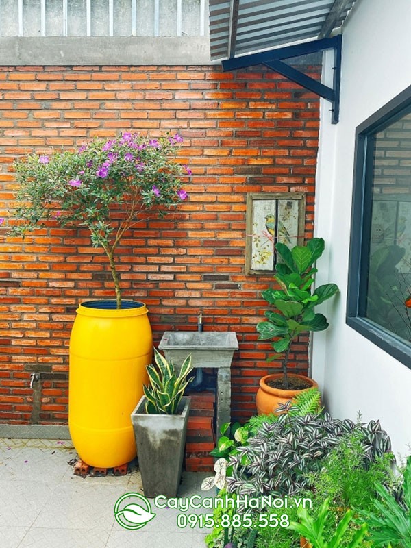 Hoa mua decor độc đáo cho không gian quán cà phê