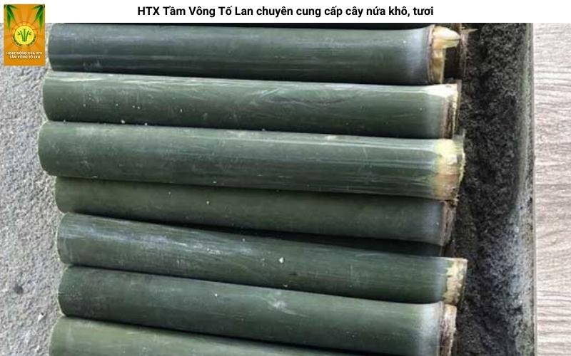 Kho chứa số lượng lớn cây nứa