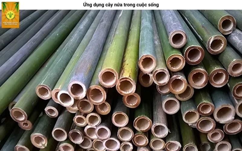 Công trình kiến trúc sử dụng vật liệu cây nứa