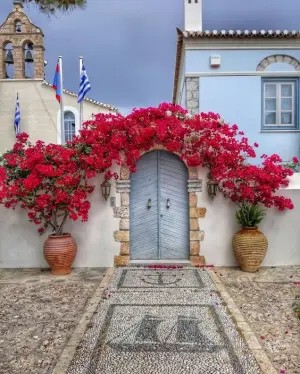 Cổng gỗ màu xanh lam với hoa bougainvillea đỏ rực rỡ phía trên, được bao quanh bởi tường trắng và hai chậu cây lớn.