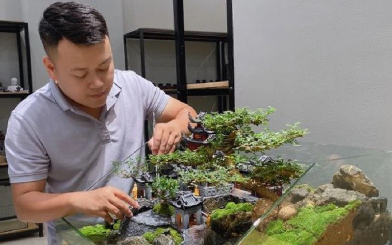 Chăm sóc và duy trì rêu cạn trên đá hiệu quả
