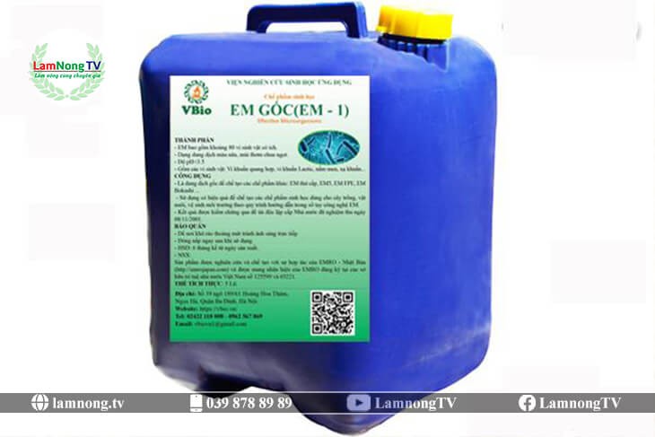 Sử dụng men vi sinh EM trong kỹ thuật trồng cây ba kích