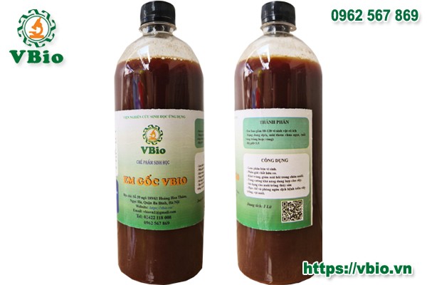 Chế phẩm sinh học EM gốc dạng lỏng hoặc bột