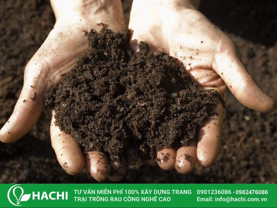 Chuẩn bị đất trồng tơi xốp, có giá trị dinh dưỡng cao