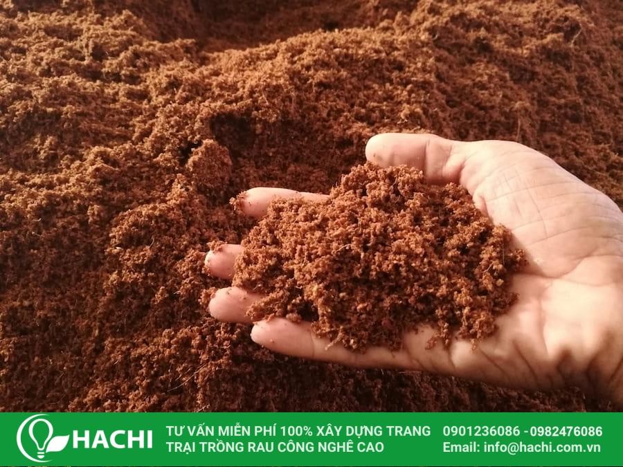 Giá thể trồng rau thủy canh trên sân thượng