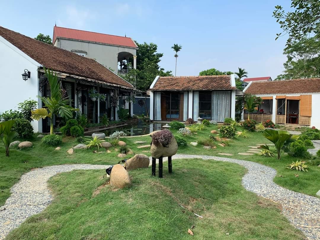 Cuộn cỏ nhung nhật chuẩn bị trồng cho cảnh quan sân vườn