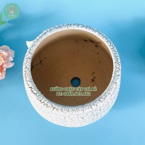 Chậu gốm sứ màu đá xanh chất lượng tốt, dáng tròn