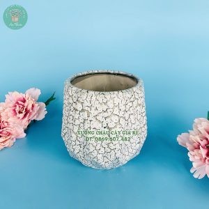 Chậu sứ trồng cây màu kim cương vân đá xanh đẹp mắt