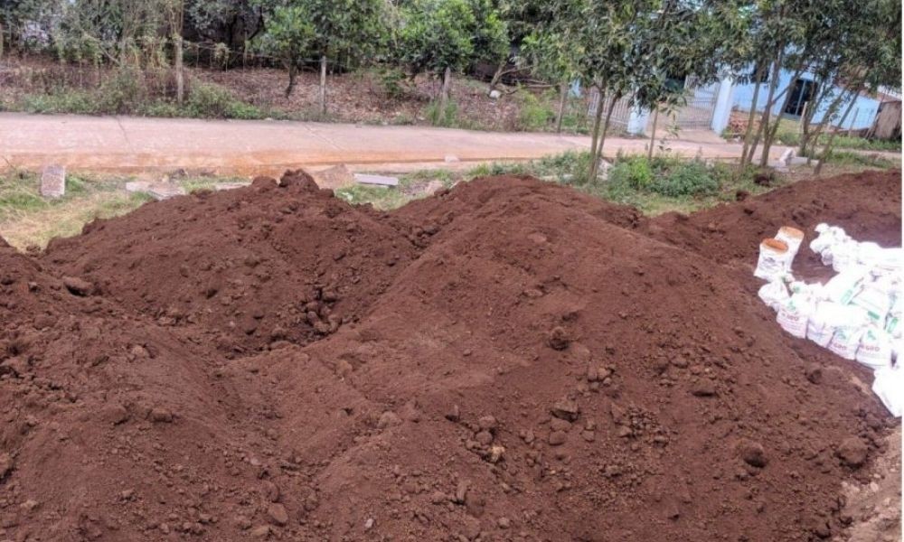 Đất phù sa màu mỡ, một loại đất trồng quan trọng trong cách phân loại đất