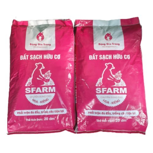 Chọn loại đất tơi xốp chuyên dụng để trồng xương rồng
