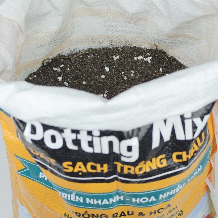 Đất trồng tơi xốp chứa đá Perlite hỗ trợ thoát nước