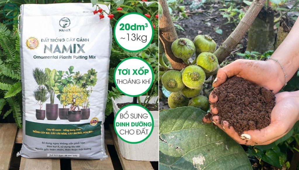 Đất trồng cây quýt đường tơi xốp, giàu dinh dưỡng