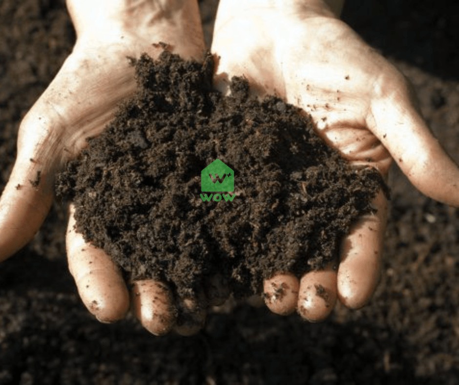 Đất hữu cơ phối trộn sẵn để trồng rau dền nhật tại nhà