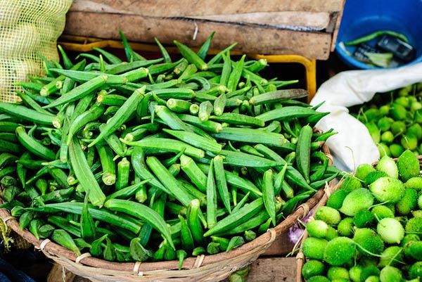 Cây đậu bắp trưởng thành với quả chín trên thân