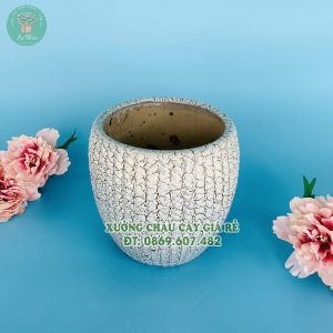Chậu sứ tích đỏ trồng cây trong nhà, chất lượng dày dặn