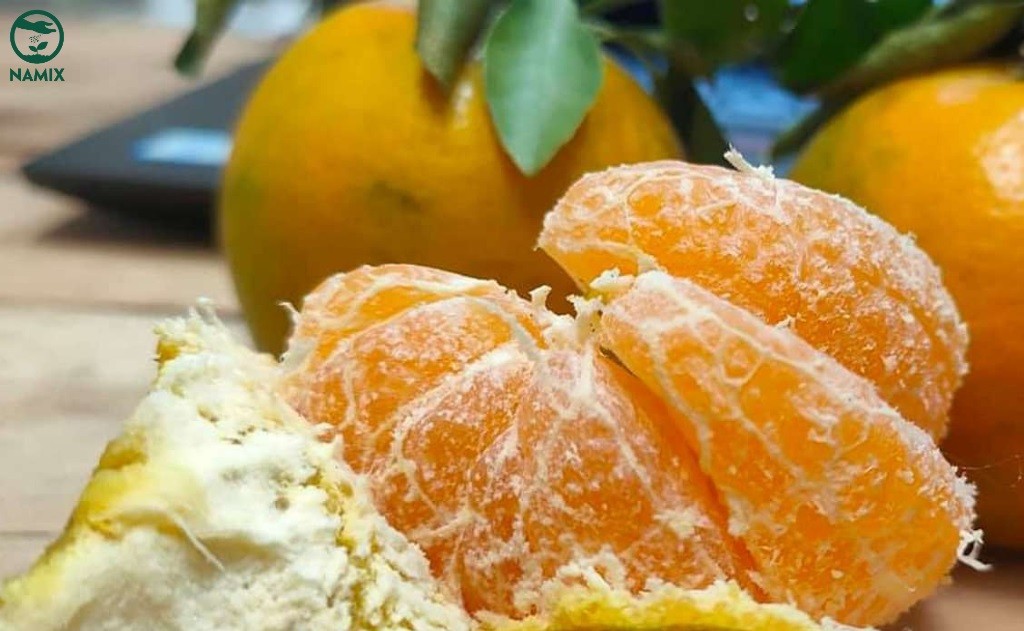 Giá trị dinh dưỡng phong phú trong trái quýt đường