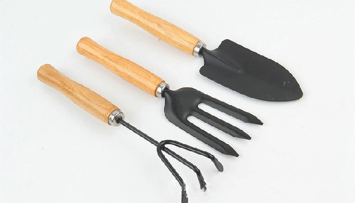 Dụng cụ trồng đậu ván - Chuẩn bị vật tư gieo trồng
