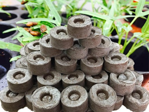Giá thể xơ dừa cho hệ thống trồng rau thủy canh