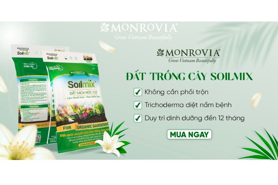 Đất trồng cây Soilmix chất lượng cao từ hatgiongnongnghiep1.vn