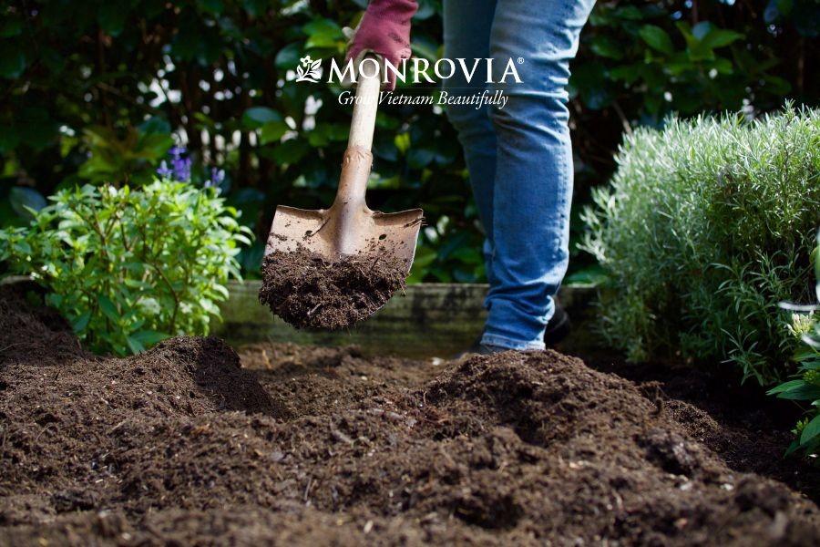 Trộn đều các nguyên liệu để tạo giá thể trồng cây